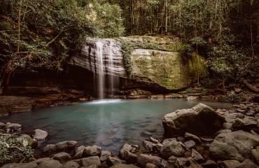 Discover Buderim Forest Park